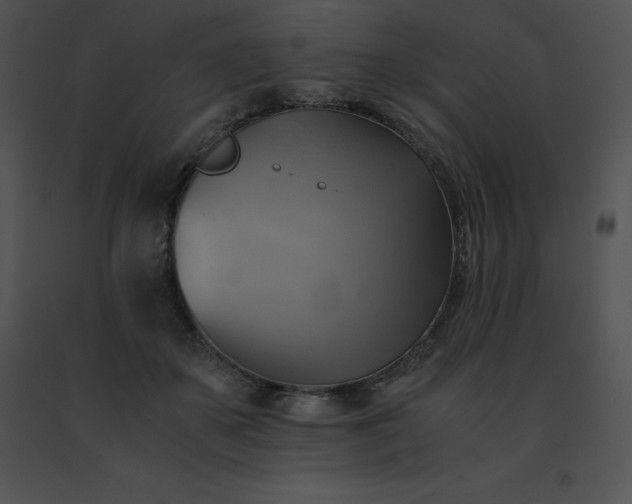 X0000091540507200708311335