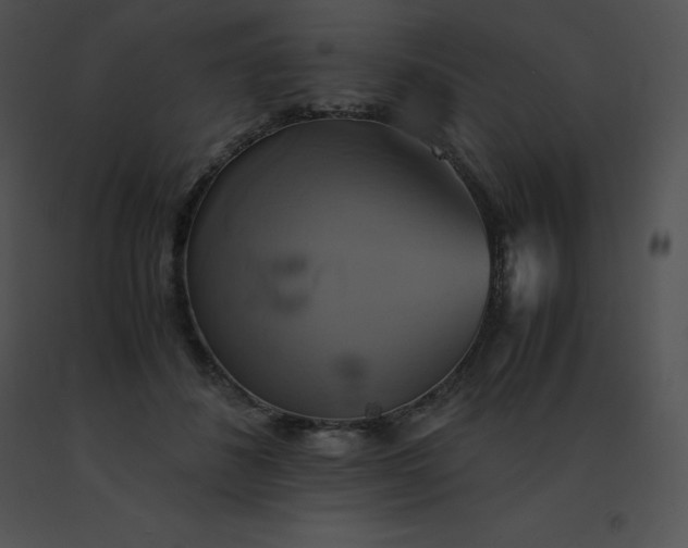 X0000091540508200708311335