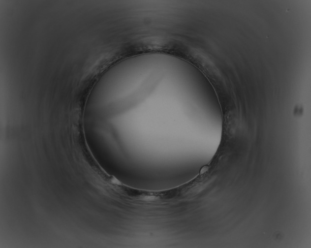 X0000091540509200708311335