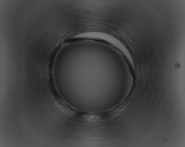 X0000091540512200708311335