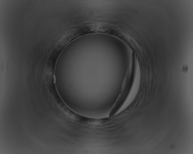 X0000091540513200708311335