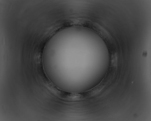 X0000091540514200708311335