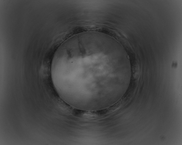 X0000091540515200708311335