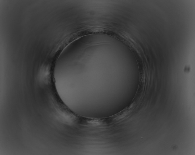 X0000091540516200708311335