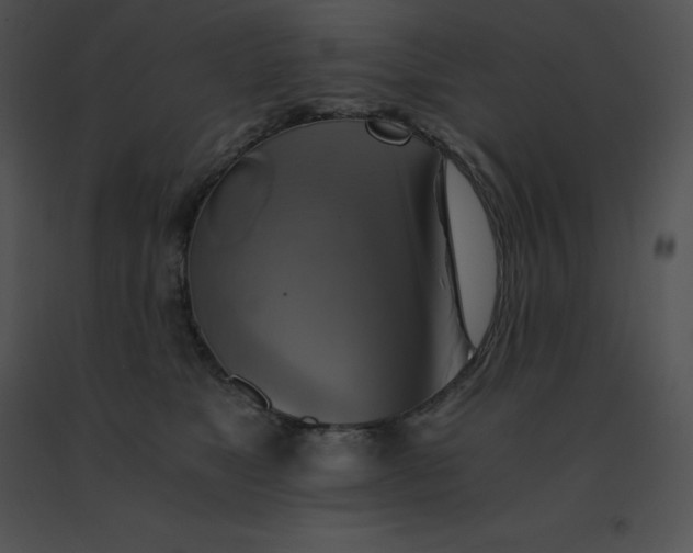 X0000091540517200708311335