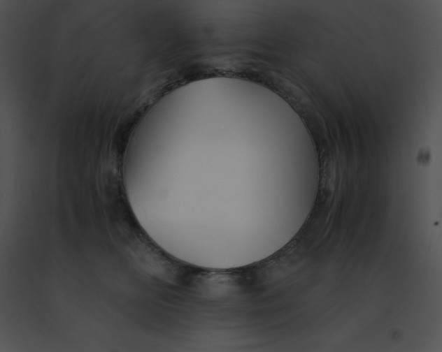 X0000091540518200708311335