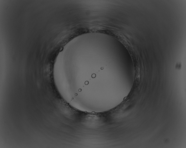 X0000091540519200708311335