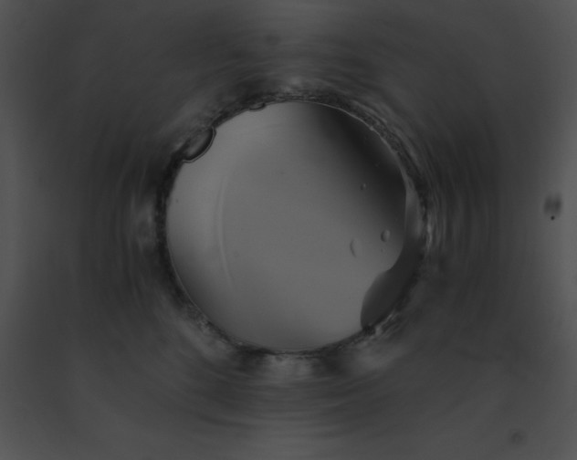 X0000091540520200708311335