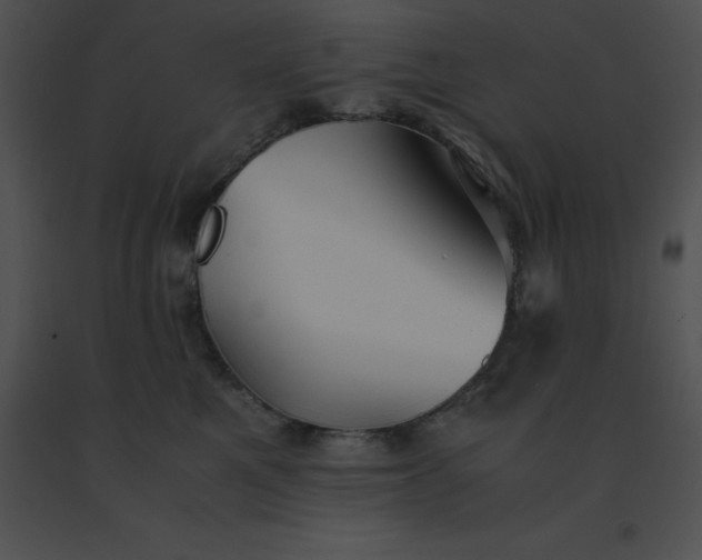 X0000091540521200708311335