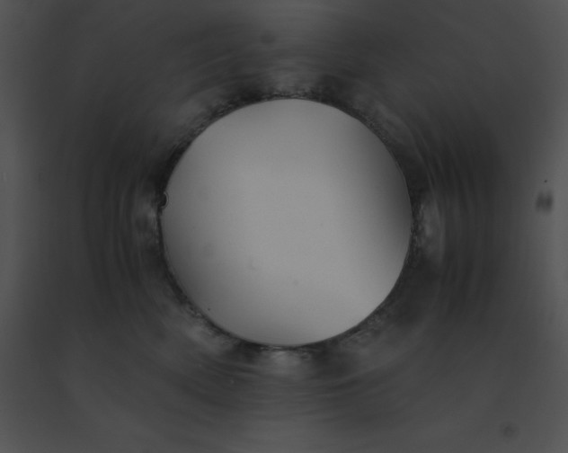 X0000091540522200708311335