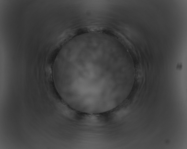 X0000091540523200708311335