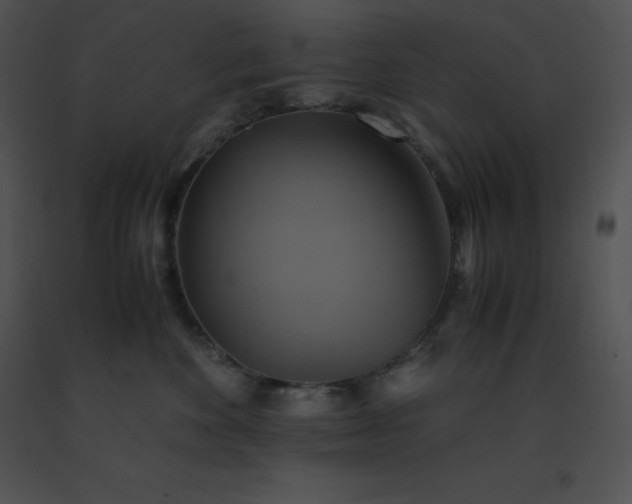 X0000091540524200708311335