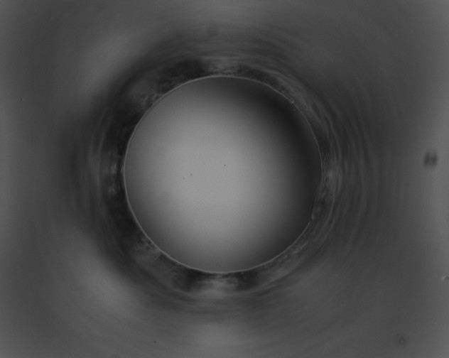 X0000091540525200708311335