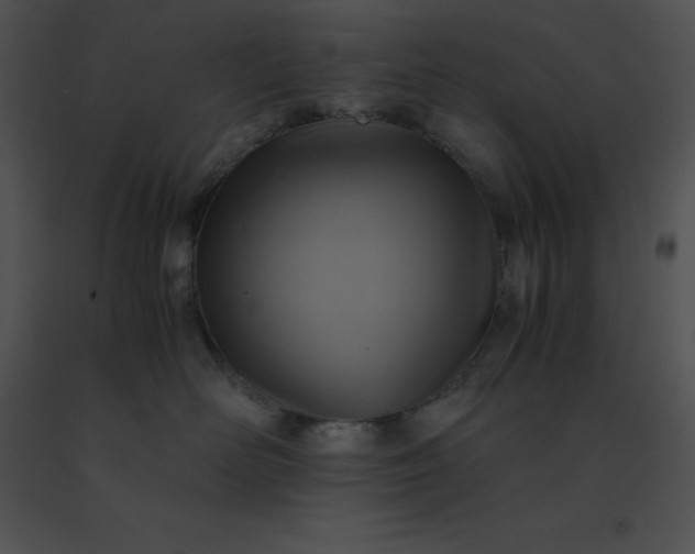 X0000091540526200708311335