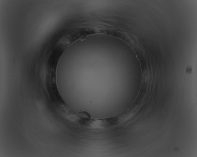 X0000091540527200708311335