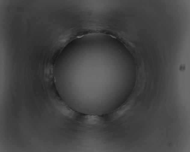 X0000091540528200708311335