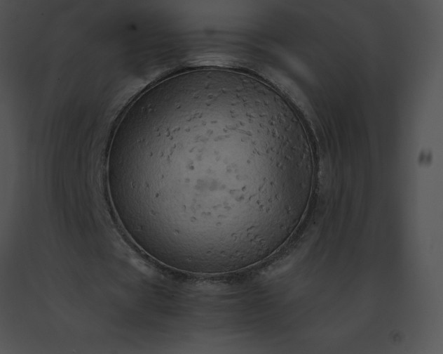X0000091540529200708311334