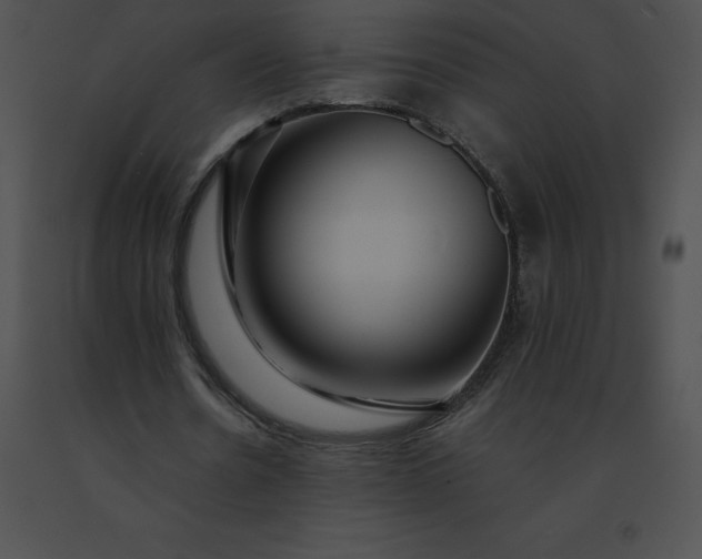 X0000091540530200708311334