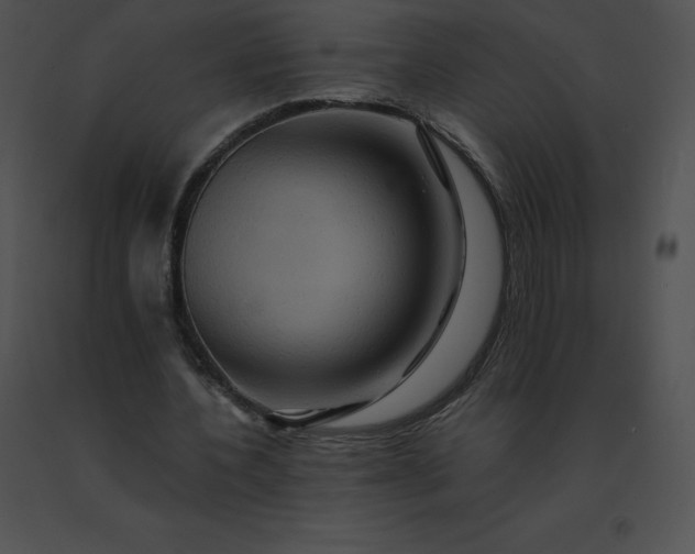 X0000091540532200708311334