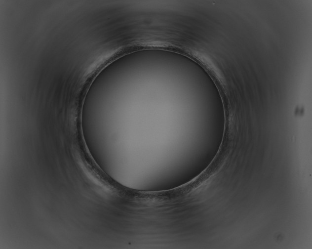 X0000091540533200708311334