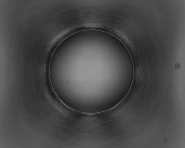 X0000091540535200708311334