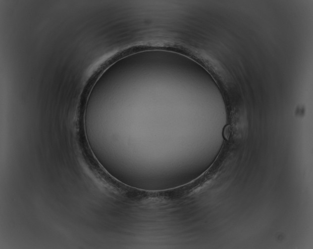 X0000091540536200708311334