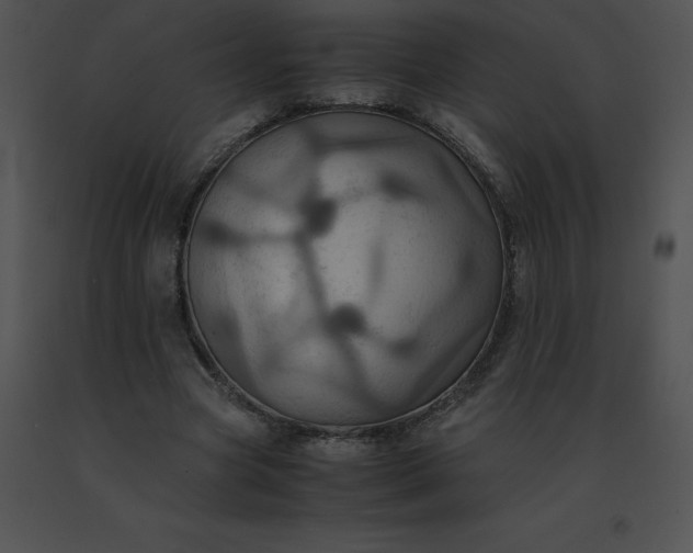 X0000091540537200708311334