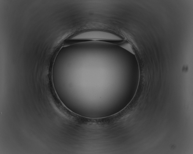 X0000091540538200708311334