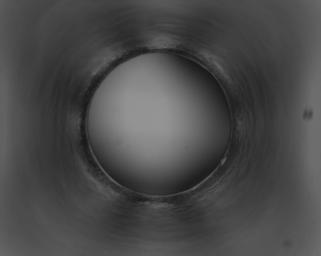 X0000091540539200708311334