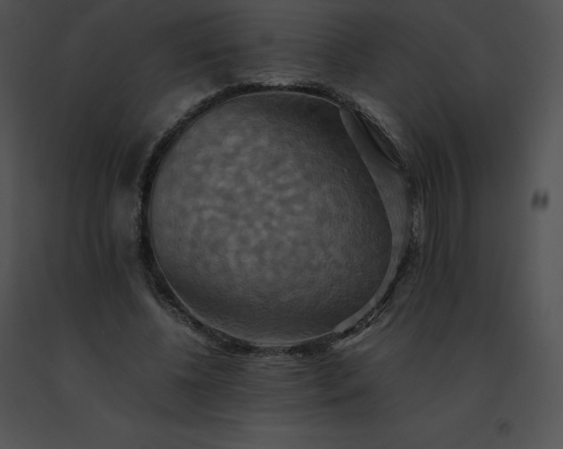 X0000091540540200708311334