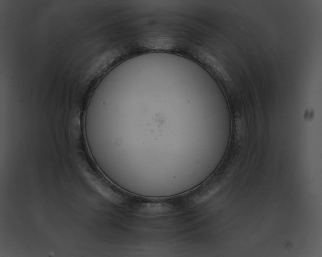 X0000091540541200708311334
