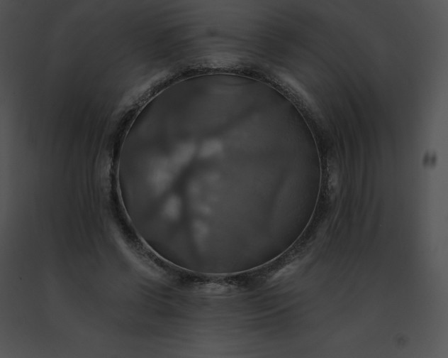 X0000091540542200708311334