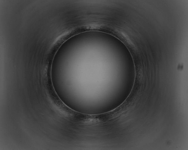 X0000091540543200708311334