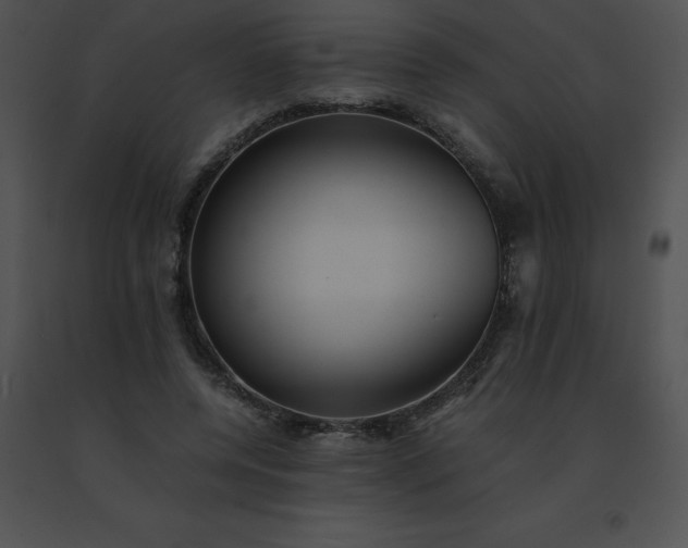 X0000091540544200708311334