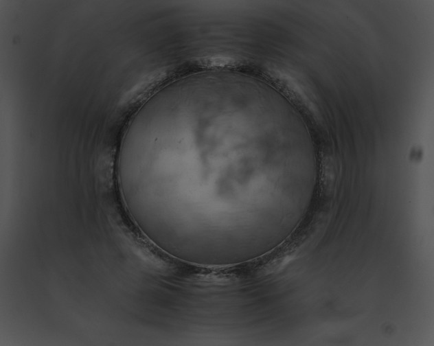 X0000091540545200708311334