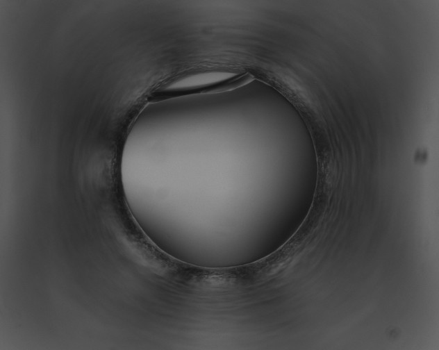 X0000091540546200708311334