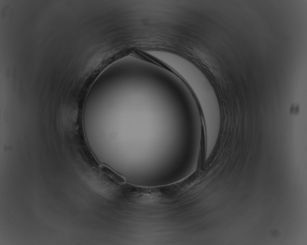 X0000091540548200708311334