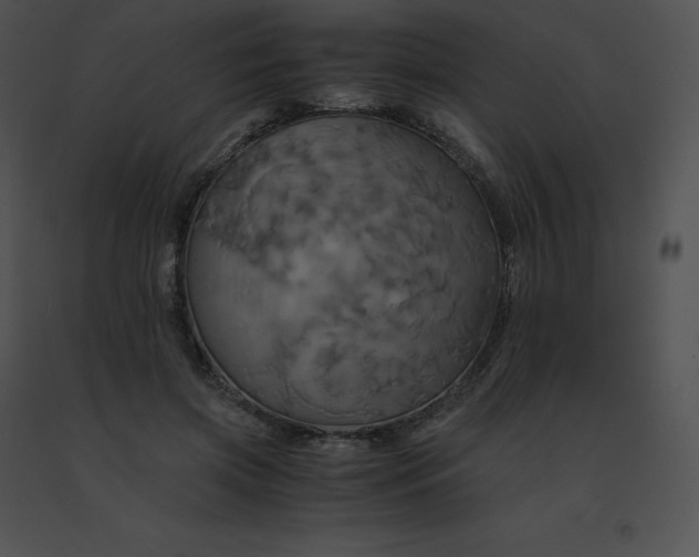 X0000091540549200708311334