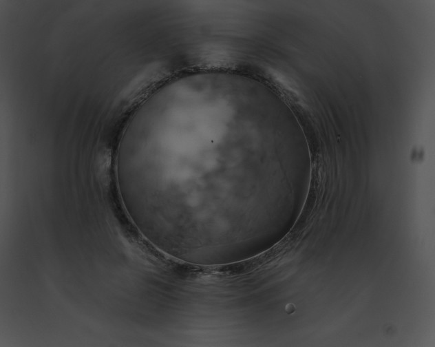X0000091540550200708311334