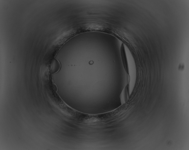 X0000091540551200708311334