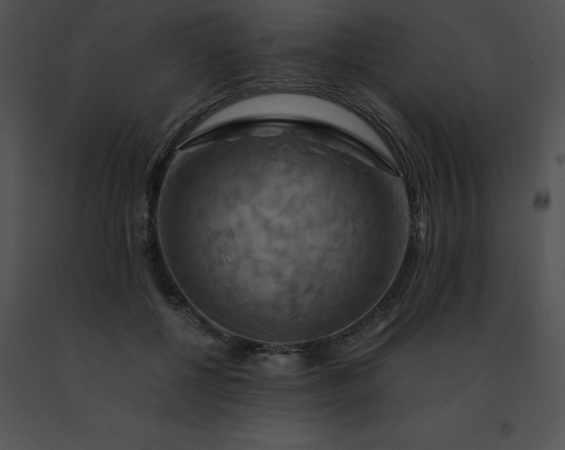 X0000091540552200708311334