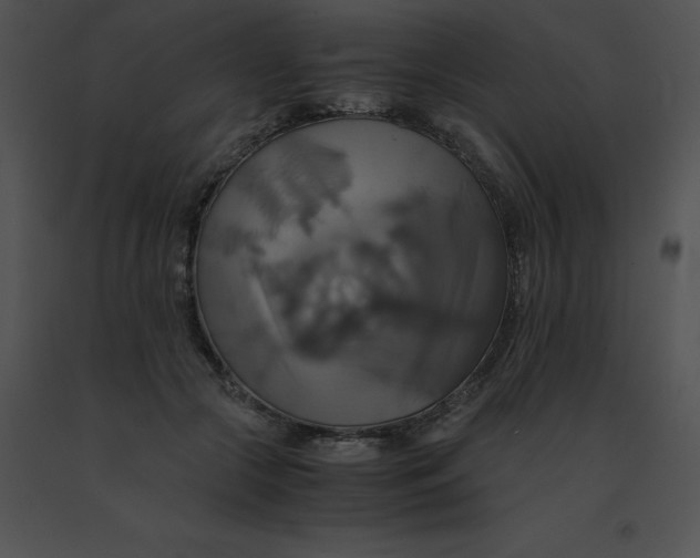 X0000091540553200708311334