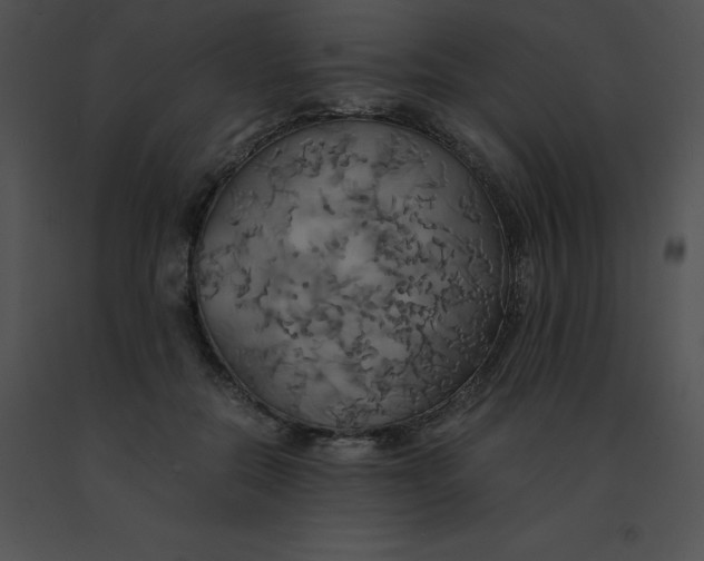 X0000091540554200708311334