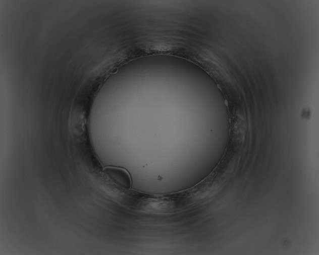 X0000091540555200708311334