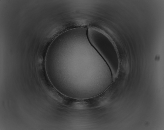 X0000091540556200708311334