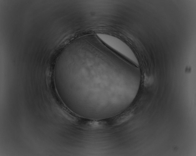 X0000091540558200708311334