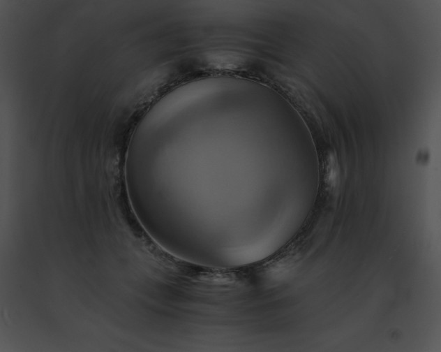 X0000091540559200708311334