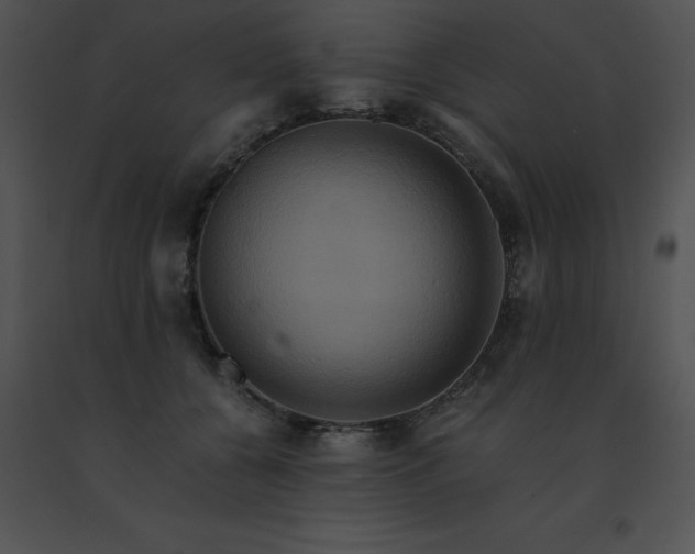 X0000091540560200708311334
