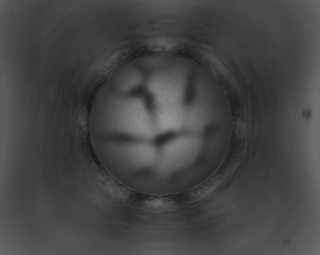 X0000091540561200708311334