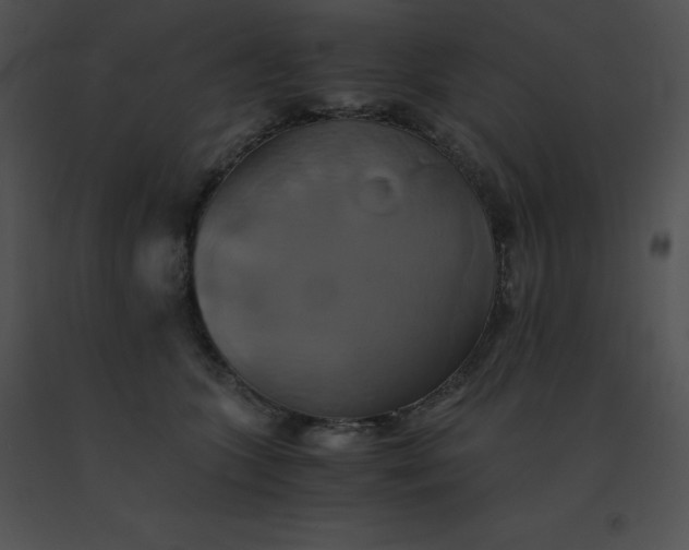 X0000091540563200708311334